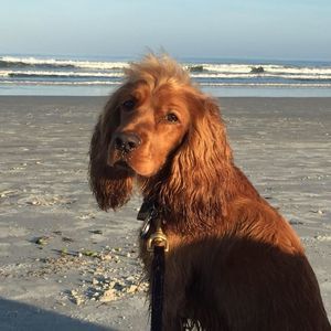 Meet your Posher, Marly